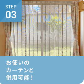 STEP03